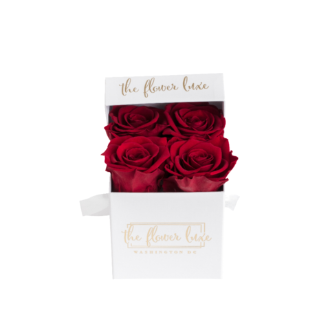 Mini Luxe-LAST ONE YEAR