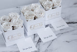 Mini Luxe-LAST ONE YEAR