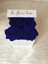 Mini Luxe-LAST ONE YEAR