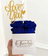 Mini Luxe-LAST ONE YEAR