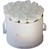 De Luxe Infinity Round White  Box- LAST ONE YEAR