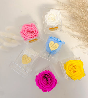 Acrylique Fleur Box- Single