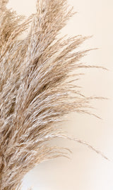 Fresh-Cut Pampas with Vase
