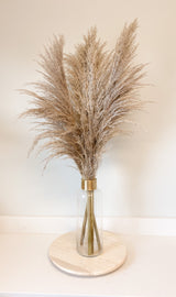 Fresh-Cut Pampas with Vase