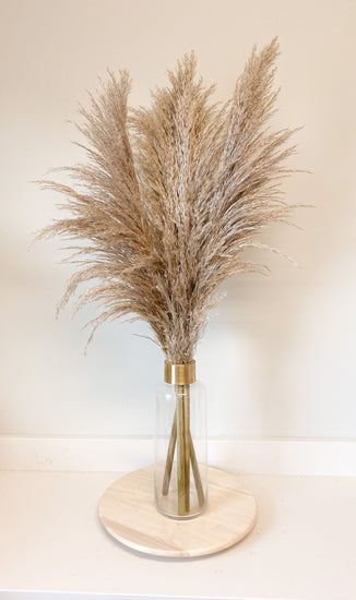 Fresh-Cut Pampas with Vase