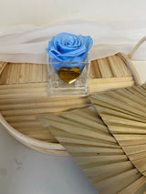 Acrylique Fleur Box- Single